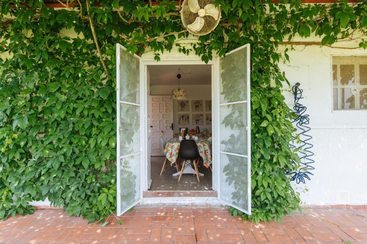 La Casita De Hato Pinos, Un Rincon En Donana Aznalcázar Екстериор снимка